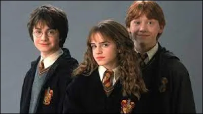 Où rencontre-t-elle pour la première fois Harry et Ron ?