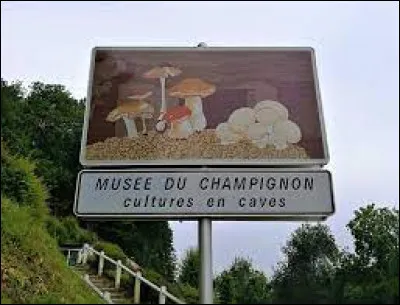 Dans quelle ville française se situe le Musée du Champignon ?
