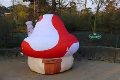 Quelles créatures habitent dans des maisons en forme de champignon ?