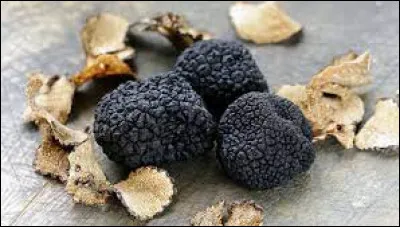 Hormis le chien, quel autre animal peut trouver des truffes ?