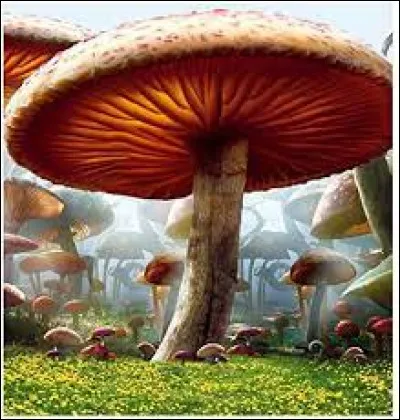 Dans "Alice au pays des merveilles", quel insecte fume du houka sur un champignon ?