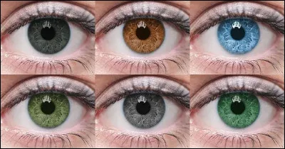 De quelle couleur sont ses yeux ?