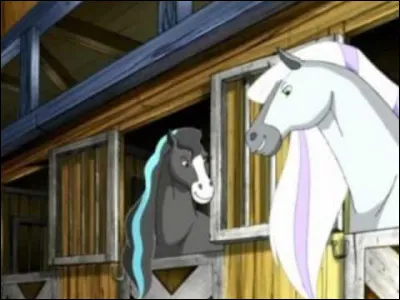 Comment s'appellent leurs chevaux ?