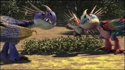 Quelle est la race de ce dragon ?