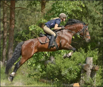 Combien y a-t-il délevages sur le territoire français ?
