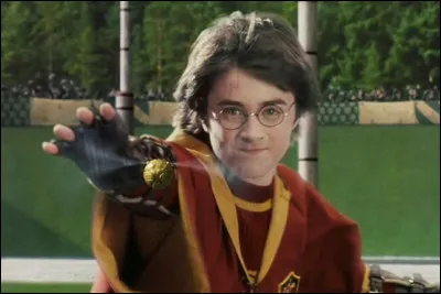 Quel est le sport préféré des sorciers ?