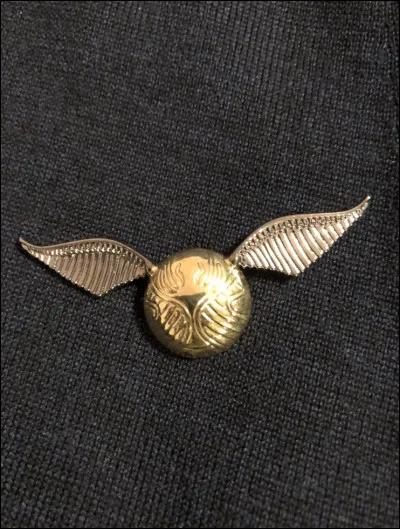 Quel est le nom de cette balle de Quidditch ?