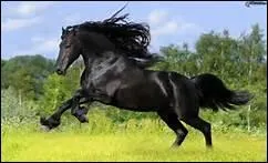 O ont t retrouves ces traces ?