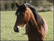 O a-t-on retrouv cet objet ?