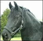 D'aprs de fouilles archologiques, quel peuple aurait invent les triers ?