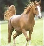 Qu'est en fait ce fameux doigt ?