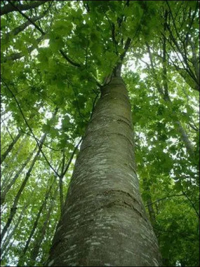 N'est jamais cher pour tout le monde, c'est l'...