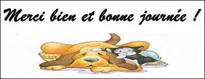 Le légume philosophe en question est masqué pour Kalkus depuis 1965 et intervient ou provoque des situations absurdes.