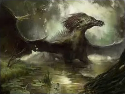 Quel est ton élément préféré ?