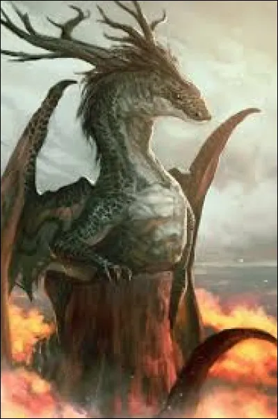 Quelle est ton activité préférée ?