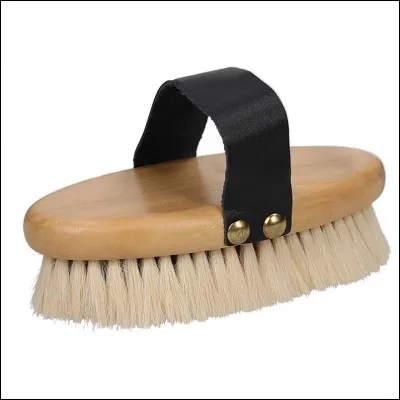 Comment appelle-t-on cette brosse ?