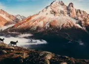 Test Quel paysage te correspond ?