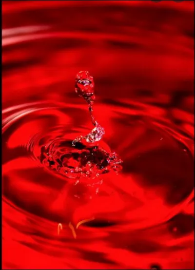 Quelle est cette couleur ?