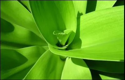 Quelle est cette couleur ?