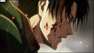 Quel est le nom de famille de Livaï et de Mikasa ?