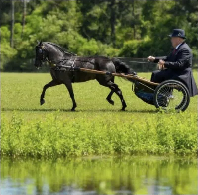 Il doit mesurer moins de…