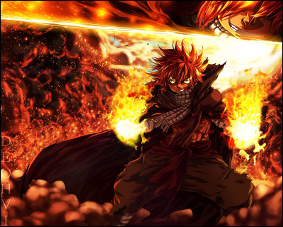Et enfin, Fairy Tail est un roman.