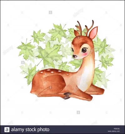 C'est l'anniversaire du fils de la famille Chevreuil, ça se fête ! il a un an et demi ! Il devient...