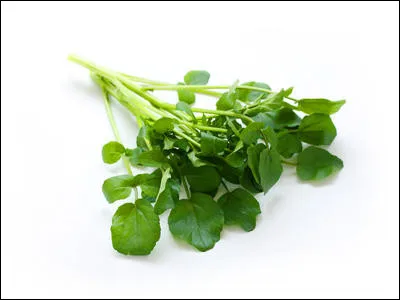 - Nous allons nous régaler, la famille Chevreuil m'a donné...