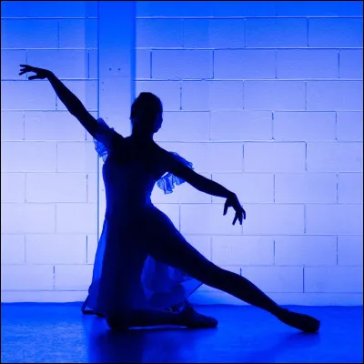 Quel genre de danse aimerais-tu faire ?