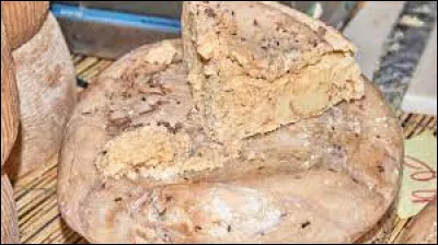 Le casu marzu est un fromage exceptionnel, pourquoi ?
