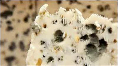 Grâce à quoi les fromages bleus prospèrent-ils ?