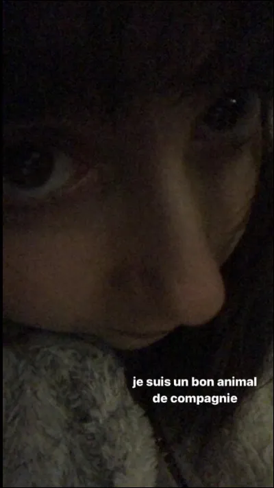 Dans un film ou une pièce de théâtre, tu es :