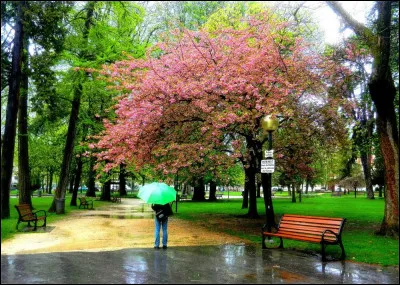 Selon un proverbe, s'il pleut ce jour-l&agrave;, il pleuvra 40 jours plus tard !