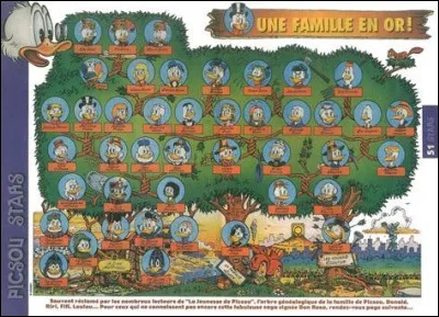 Avec quelle famille Donald a-t-il un lien ?