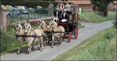 Combien y a-t-il de robes chez le fjord ?