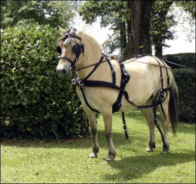 Quelle est son espérance de vie ?