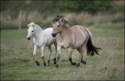 Combien y a-t-il déleveurs en France ?