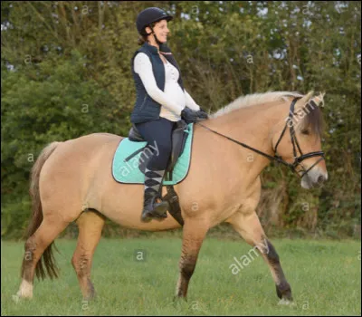 Combien y a-t-il eu de naissances en France en 2000 ?