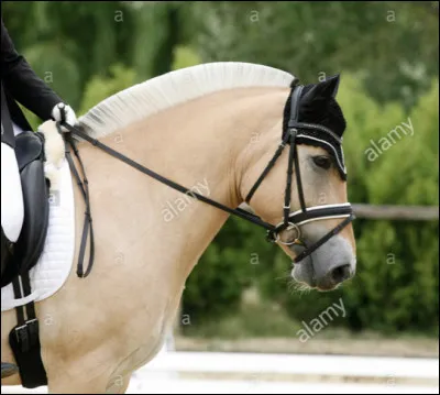 Lélevage en France sest dabord développé