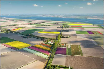 Nous voici maintenant dans le Flevoland avec cette vue a&eacute;rienne. Quel pays survolons-nous ?