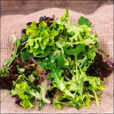 Quelle salade invent&eacute;e par des moines de Nice est un m&eacute;lange de diff&eacute;rentes plantes potag&egrave;res ?