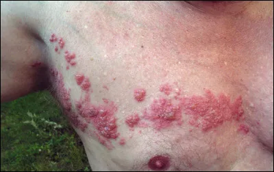 Quel nom portait la large ceinture de cuir portée par les Orientaux ?