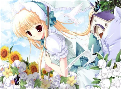 Quelle fleur pr&eacute;f&eacute;rez-vous ?