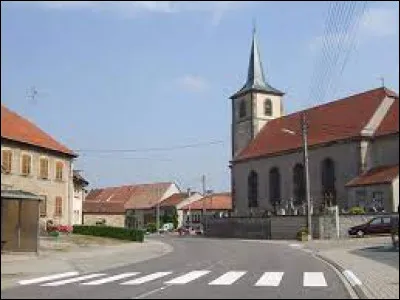 Nous sommes dans le Grand-Est, à Mittersheim. Village du Pays de Sarrebourg, au cur du parc naturel régional de Lorraine, il se situe dans le département ...
