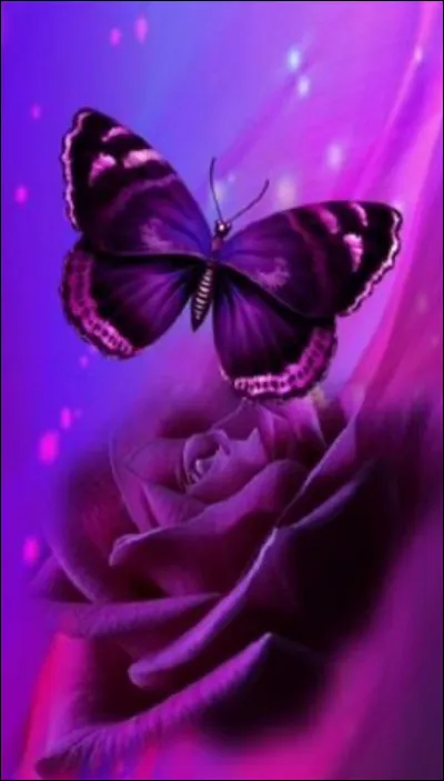 Quel animal préfères-tu ?