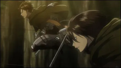 Combien de membres de la famille Ackerman voit-on dans l'anim&eacute; ?