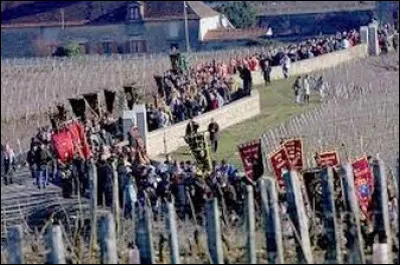 Dans quelle région viticole se déroule, tous les ans, la Saint-Vincent tournante ?