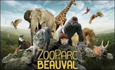 Michel fête son anniversaire dans un zoo.
Quelle partie du zoo préfères-tu ?