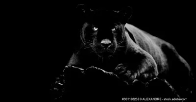 Cette couleur est...