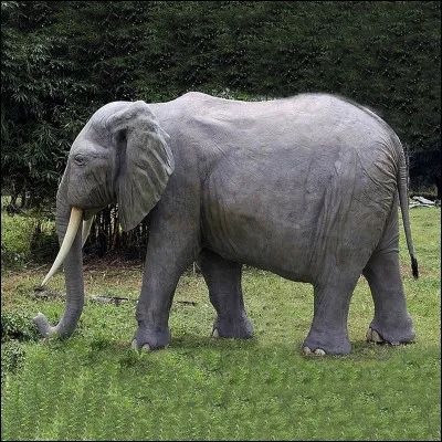 Cette couleur en espagnol est...